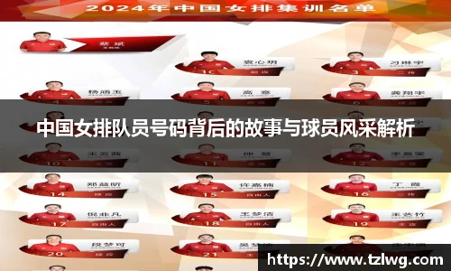 中国女排队员号码背后的故事与球员风采解析