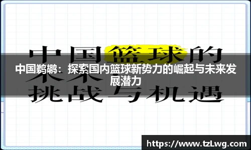 中国鹈鹕：探索国内篮球新势力的崛起与未来发展潜力