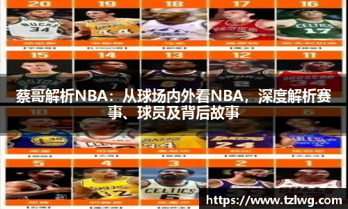 蔡哥解析NBA：从球场内外看NBA，深度解析赛事、球员及背后故事