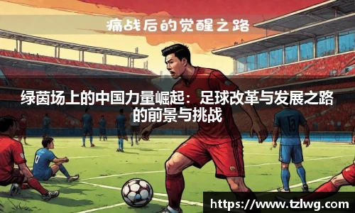 绿茵场上的中国力量崛起：足球改革与发展之路的前景与挑战
