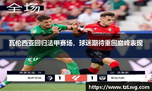 博鱼官方网站