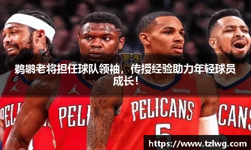 鹈鹕老将担任球队领袖，传授经验助力年轻球员成长！