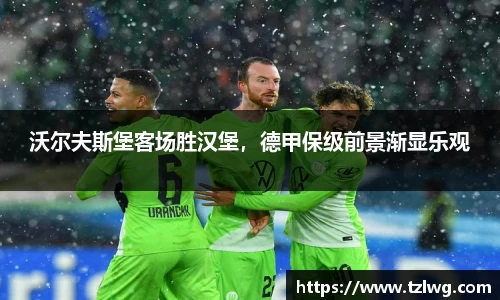沃尔夫斯堡客场胜汉堡，德甲保级前景渐显乐观