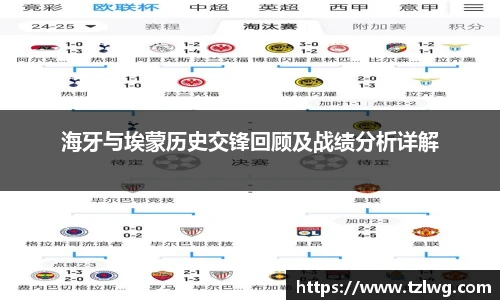 海牙与埃蒙历史交锋回顾及战绩分析详解